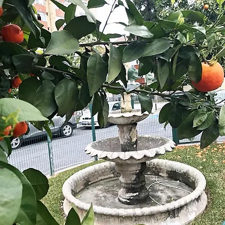 Apartamento Gifsa - Parque Alcosa *